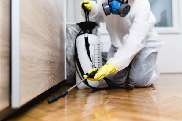 Best Wasp Removal Services  in Amargosa Valley, NV