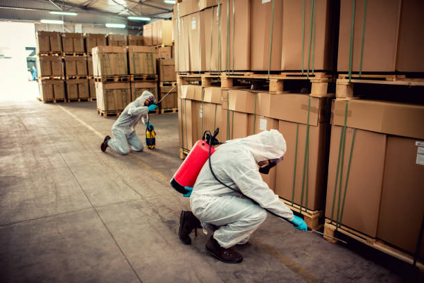Best Best Pest Control Companies  in Amargosa Valley, NV