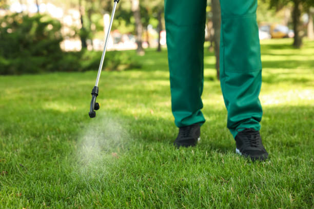 Best Insect Control  in Amargosa Valley, NV