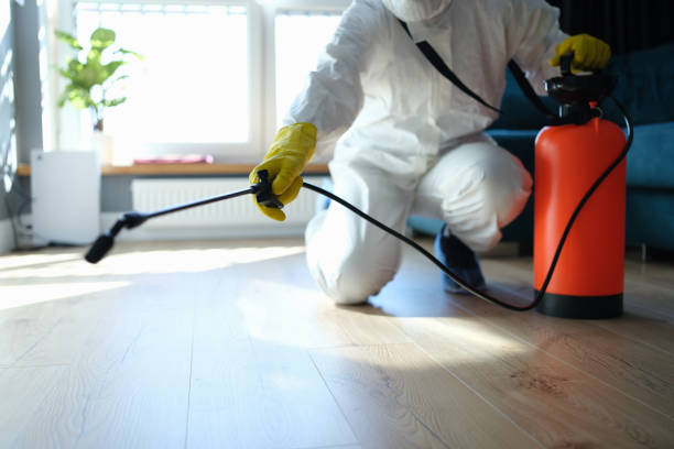 Best Pest Prevention Services  in Amargosa Valley, NV
