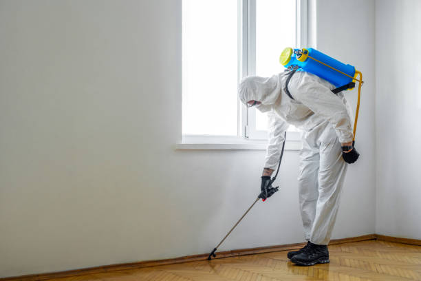 Best Wasp Removal Services  in Amargosa Valley, NV