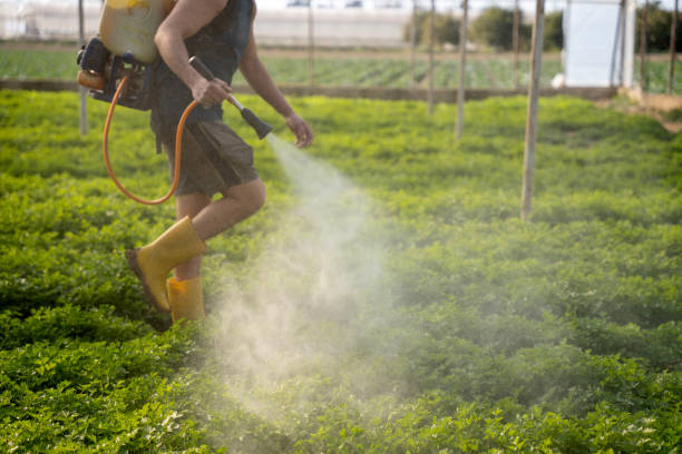 Best Commercial Pest Control Services  in Amargosa Valley, NV