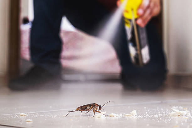 Best Best Pest Control Companies  in Amargosa Valley, NV