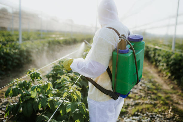 Best Affordable Pest Control Services  in Amargosa Valley, NV